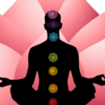 Profile picture of yogateachertraining